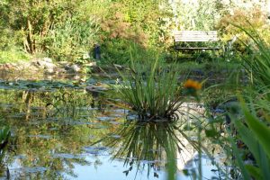 teiche-loeschteiche01