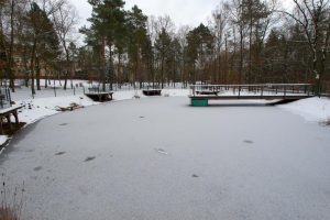 teiche-loeschteiche03